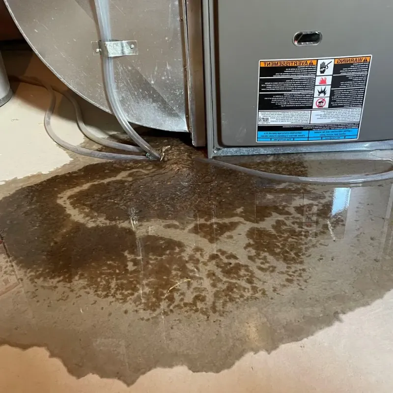 Pipe Burst and Leak Restoration in Niagara Falls, NY